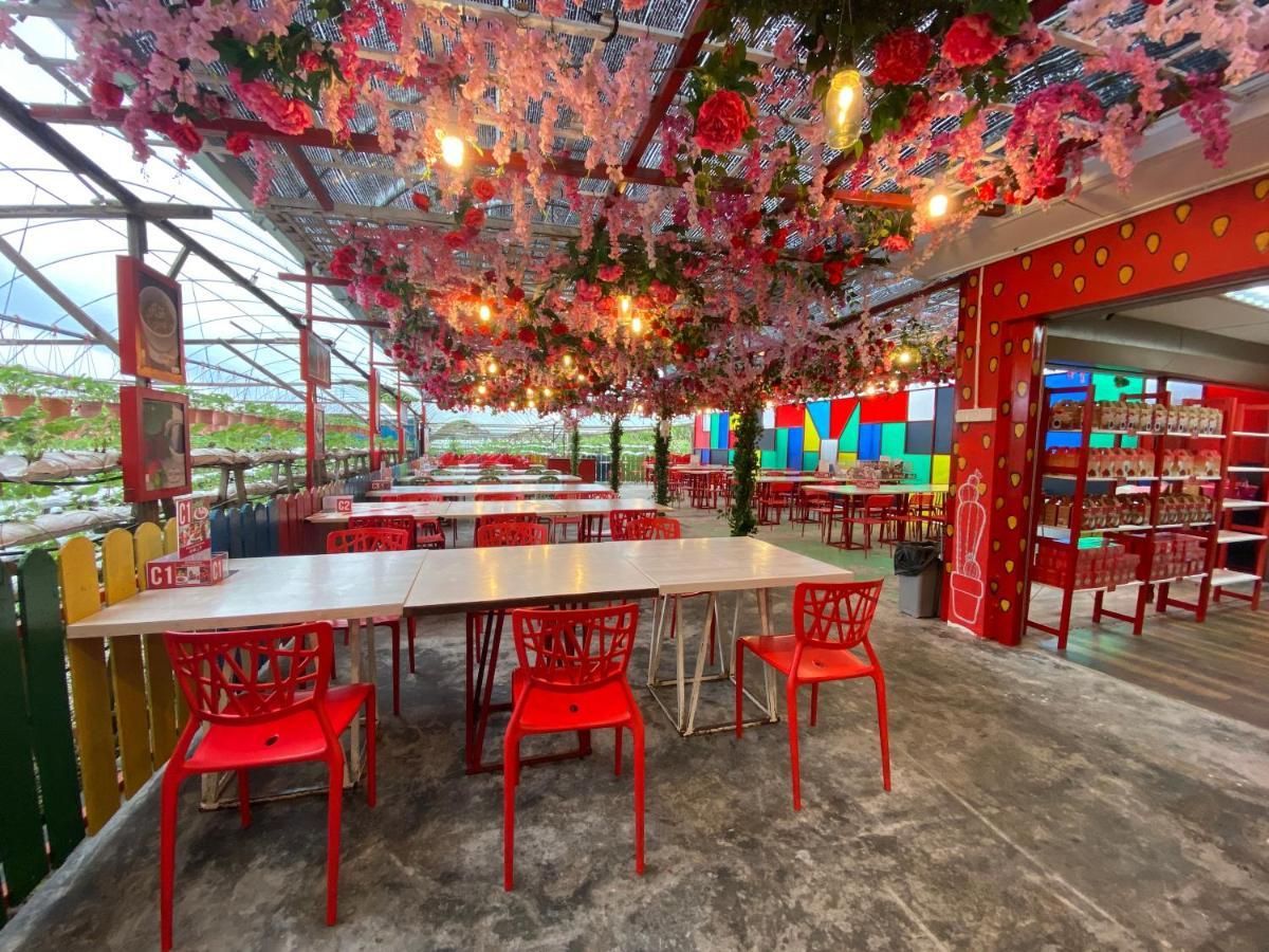 Aiza Homestay Opposite Abang Strawberry Taman Sedia Tanah Rata Ngoại thất bức ảnh
