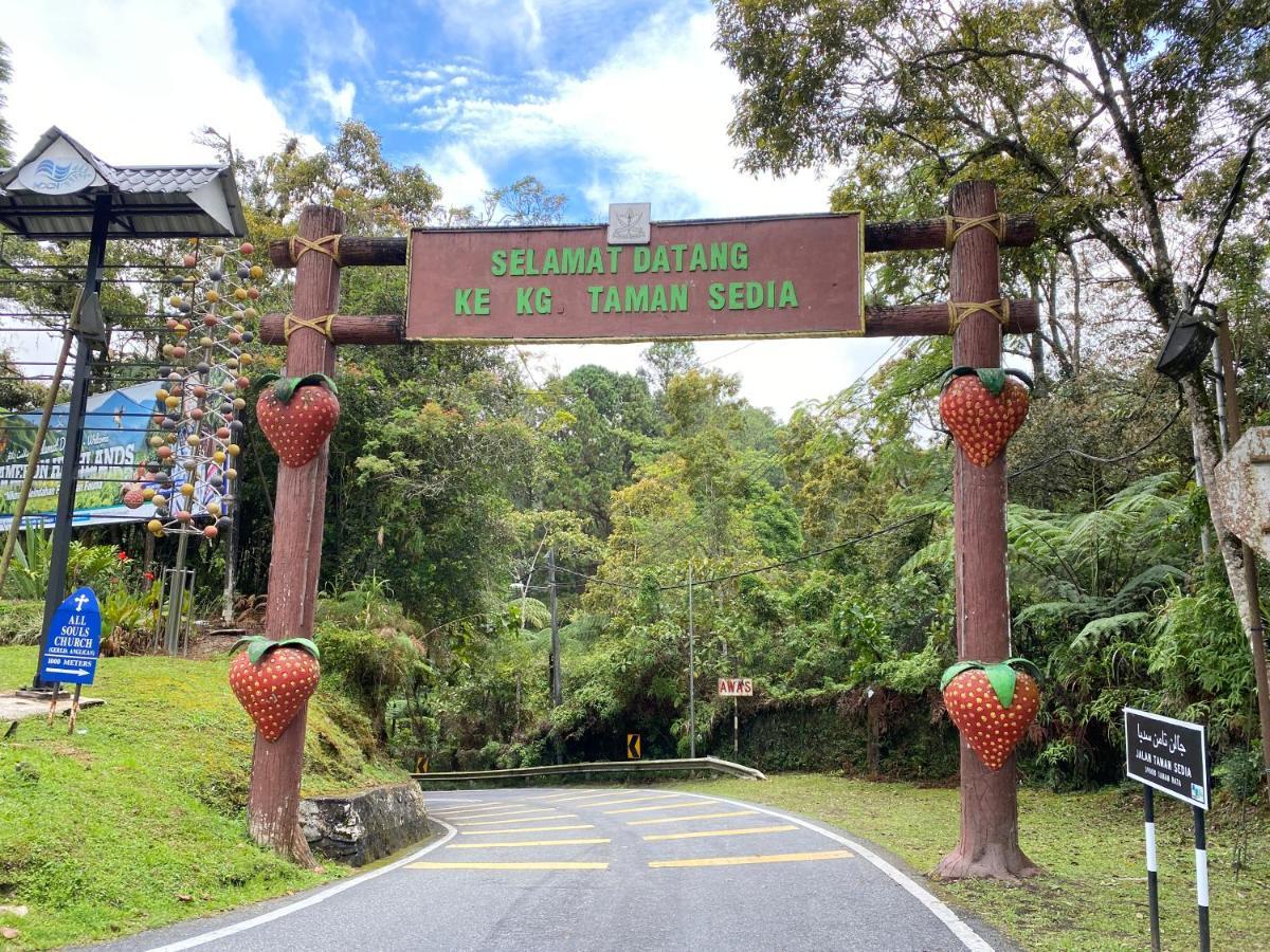 Aiza Homestay Opposite Abang Strawberry Taman Sedia Tanah Rata Ngoại thất bức ảnh